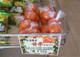 柑橘販売中♪