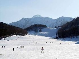 2/8(土)現在 休暇村周辺スキー場情報!