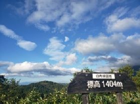 裏磐梯観光道路の開通は?