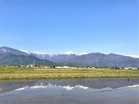代掻きが始まりました～安曇野の田園風景～