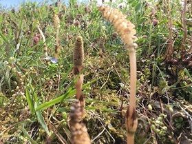 諏訪湖に行ってみよう