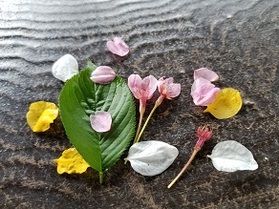 森林浴「梓川ふるさと公園」