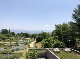 アルプスあずみの公園「あめあめふれふれカエル展」