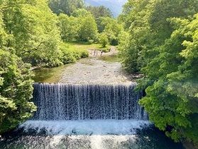 烏川渓谷緑地で森林浴