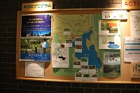 開花情報掲載しております