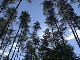 夏はどのくらい暑くなりますか？