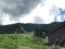 白馬五竜高山植物園