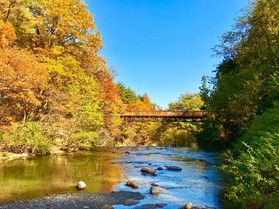 烏川渓谷緑地の紅葉