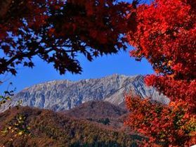 秋彩を楽しむ、紅葉ドライブ(*^^)!