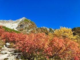 【Q&A】紅葉の見ごろはいつですか？