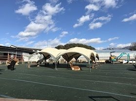 癒されませんか??