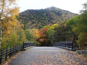 湯ノ湖周辺紅葉情報
