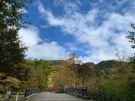 ナイトツアー(モニターツアー)に参加しました!
