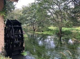 【Ｑ＆Ａ】おすすめの観光スポットは？