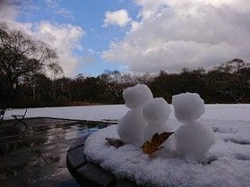 たくさん雪遊びができますように☆願いを込めて☆