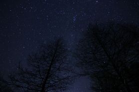 冬の星空を眺めませんか