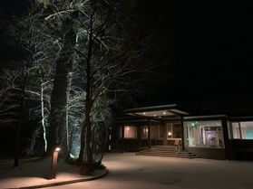 雪が降り始めました