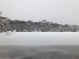 どひゃ~ようやく冬本来の姿の裏磐梯