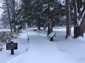 日光湯元ビジターセンター臨時休館のお知らせ