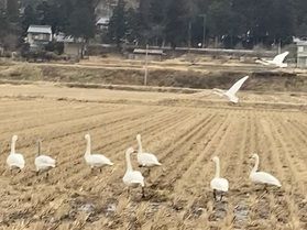 こんなところに！？