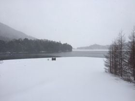 奥日光の現在の積雪状況