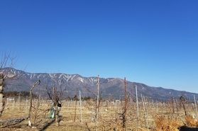 晴天で気持ちの良い安曇野です