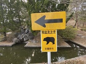 クマに出くわしたら!?🐻