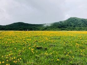雪解けはもうすぐそこまで!