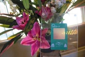 Q会員制度が変わります!