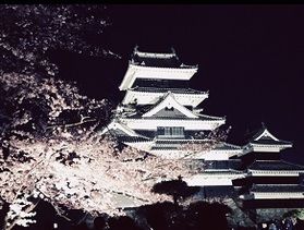 ラストチャンス 松本城夜桜