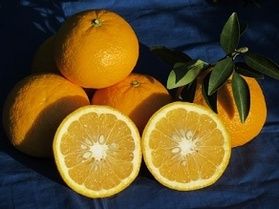 もうすぐ母の日!