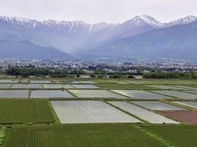今の季節はどんな服装がいいですか？