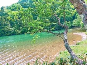 散歩道を散策してきました