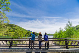 朝のお散歩ですがすがしい１日を