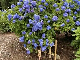 今の時期のオススメ観光スポット教えてください！