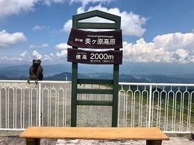 標高2,000ｍ<br>日本一高い道の駅「美ヶ原高原」へ