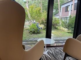紫陽花が見頃です!!