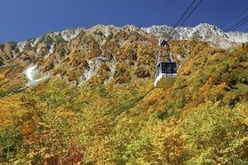 【Q＆A】紅葉の見頃はいつごろから？