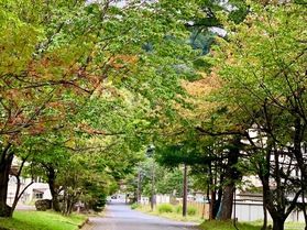 紅葉が始まってきました！