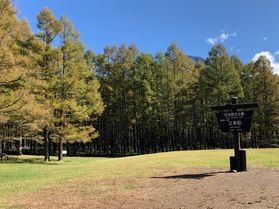 カラマツの紅葉も始まりました。