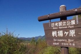 戦場ヶ原を歩きましょう!