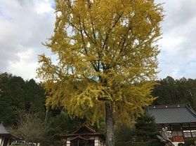 今、紅葉でおススメの場所は？