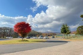 秋がピークを迎えています!