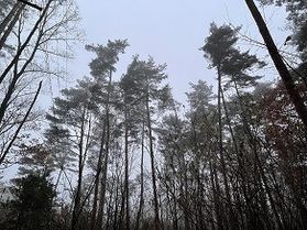 今日の安曇野の天気は??