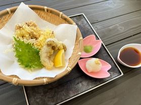 期間限定!一品料理のご案内