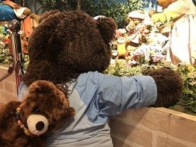 かわいいテディベアに出会えます🐻