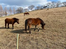 小さなお子様から大人の方まで楽しめる</br>鞍ヶ池公園