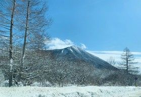 冬によく目にするあれが約3mに!?
