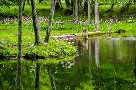県民一家族一旅行　福島県の方ご利用頂けます！