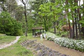 安曇野市はどんな所ですか